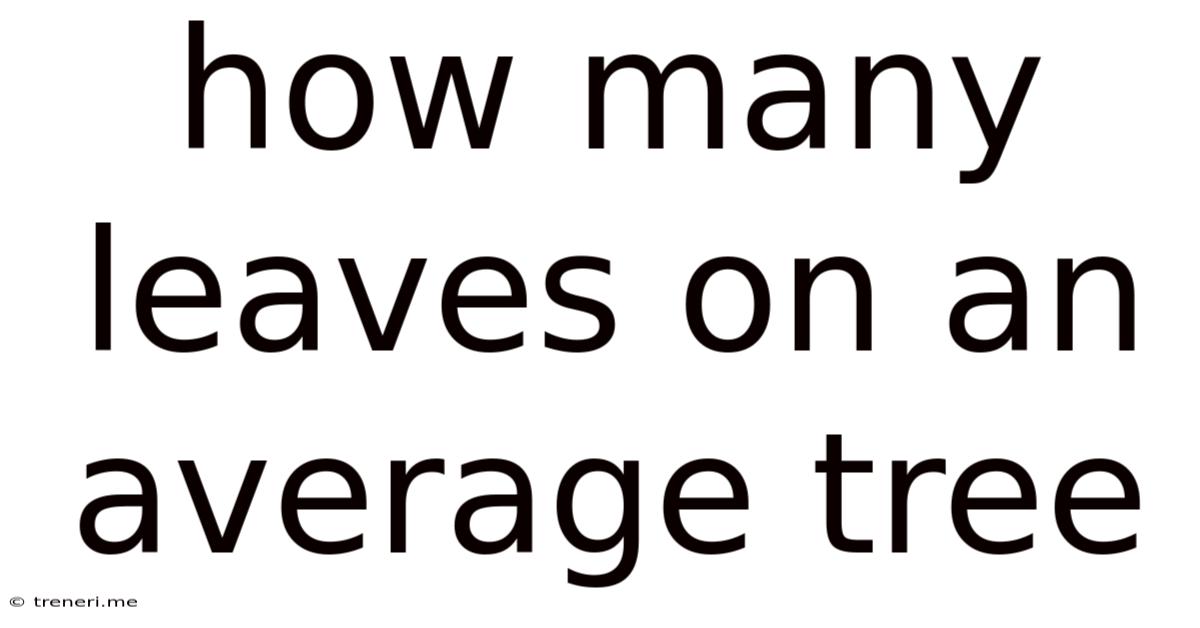 How Many Leaves On An Average Tree