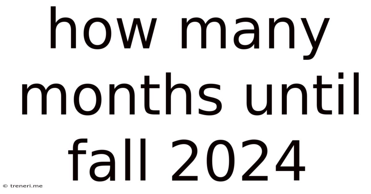 How Many Months Until Fall 2024
