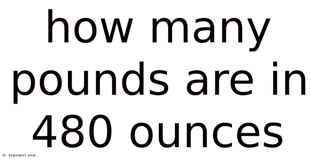 How Many Pounds Are In 480 Ounces