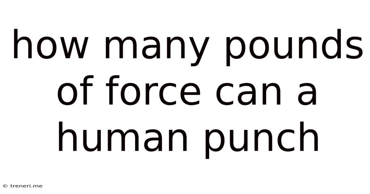 How Many Pounds Of Force Can A Human Punch