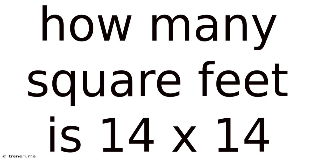 How Many Square Feet Is 14 X 14