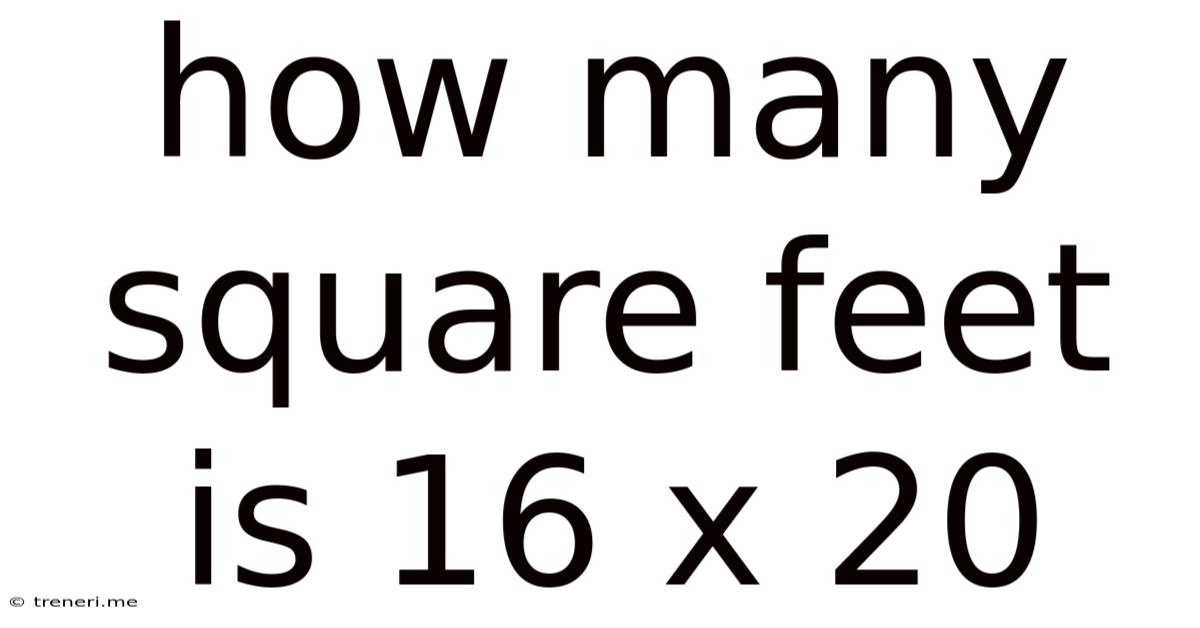 How Many Square Feet Is 16 X 20