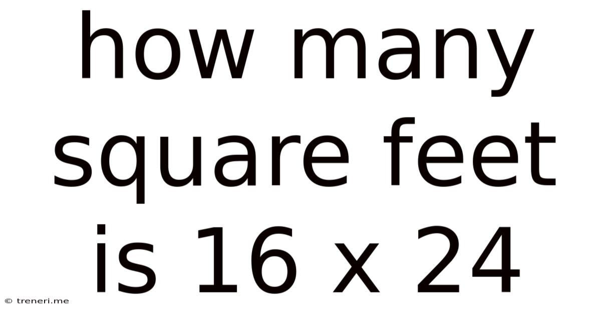 How Many Square Feet Is 16 X 24