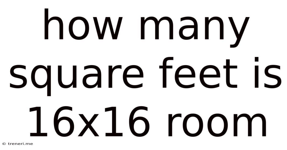 How Many Square Feet Is 16x16 Room