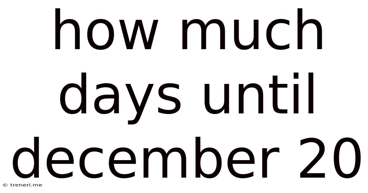 How Much Days Until December 20