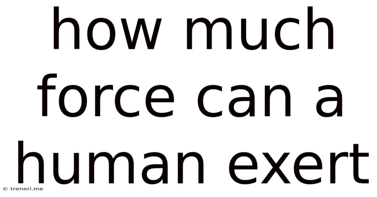 How Much Force Can A Human Exert