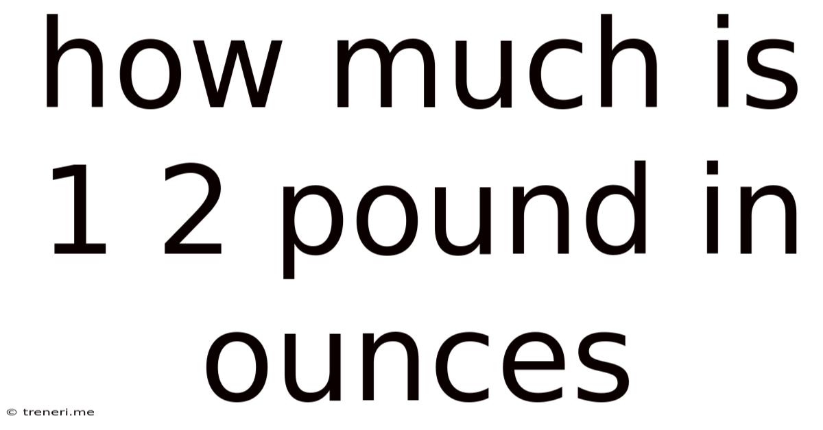 How Much Is 1 2 Pound In Ounces