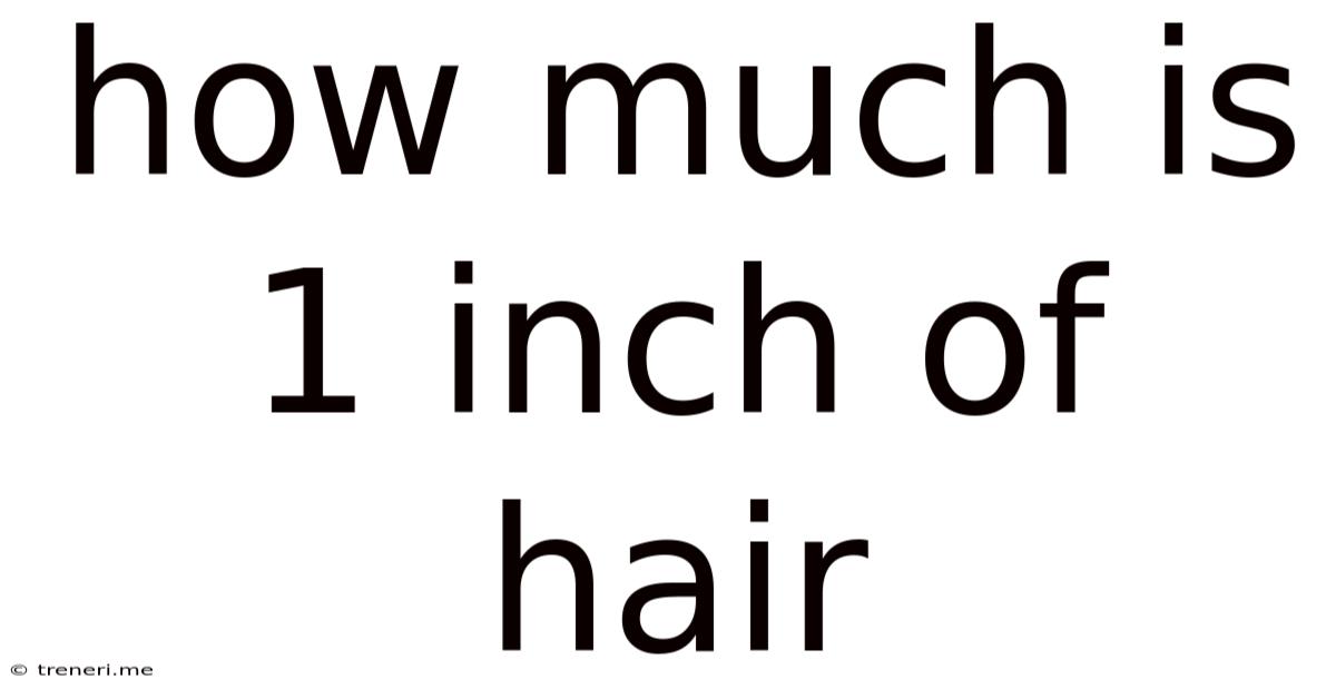 How Much Is 1 Inch Of Hair
