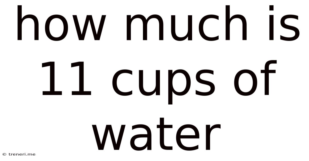 How Much Is 11 Cups Of Water