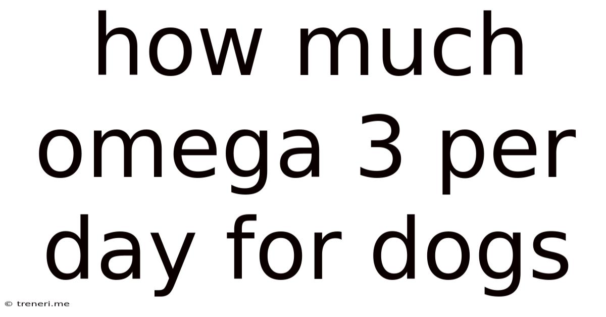 How Much Omega 3 Per Day For Dogs