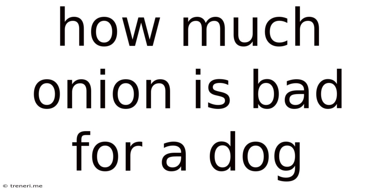 How Much Onion Is Bad For A Dog