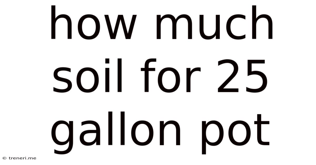 How Much Soil For 25 Gallon Pot