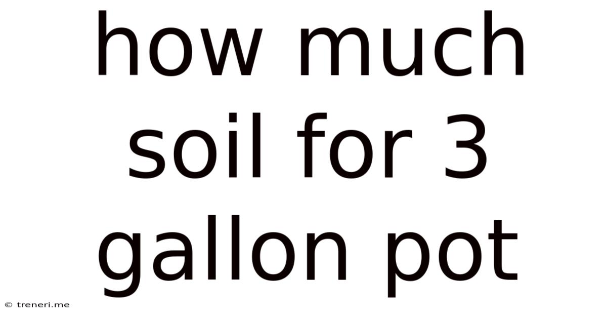 How Much Soil For 3 Gallon Pot