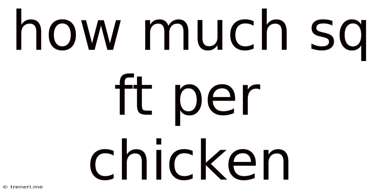 How Much Sq Ft Per Chicken