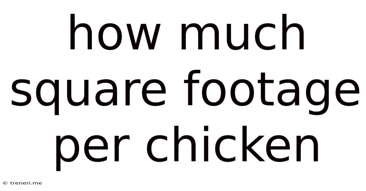 How Much Square Footage Per Chicken
