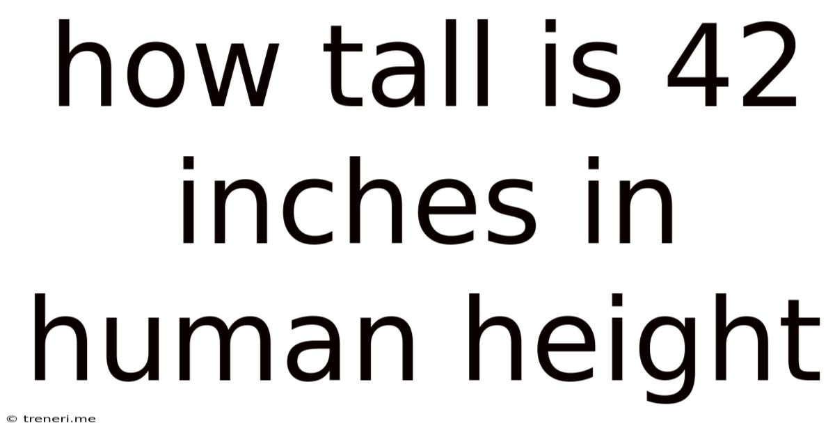 How Tall Is 42 Inches In Human Height