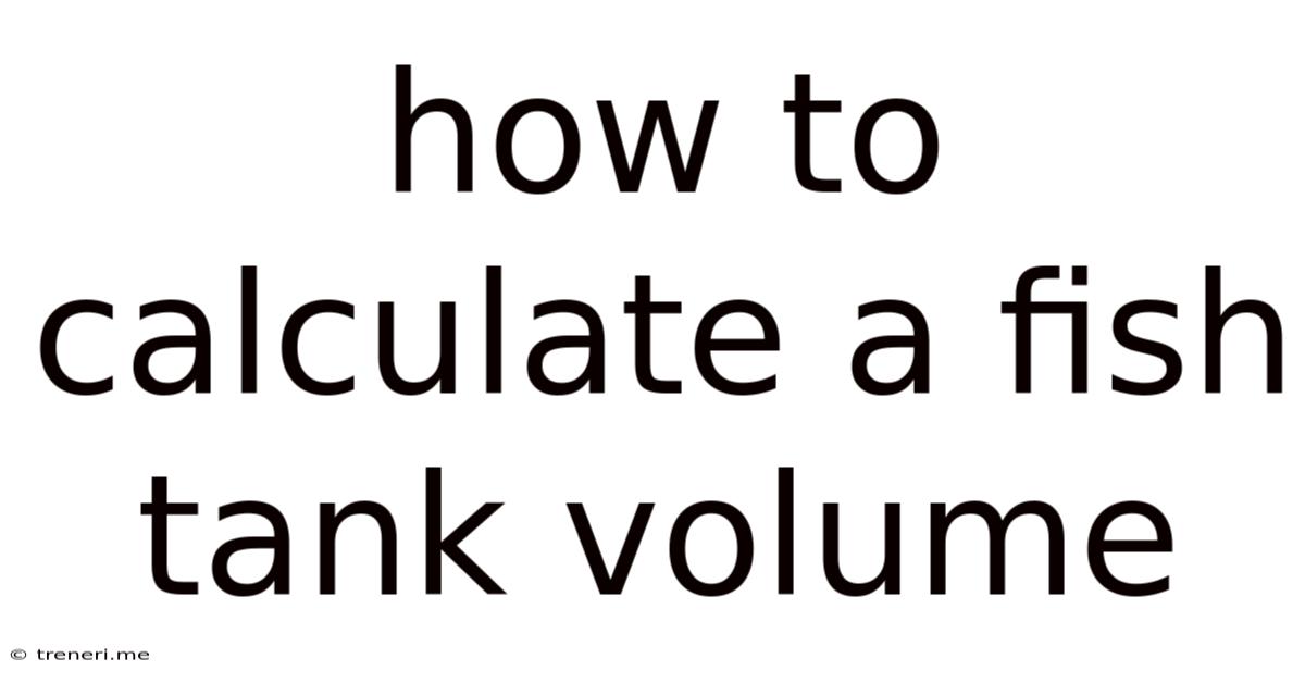 How To Calculate A Fish Tank Volume
