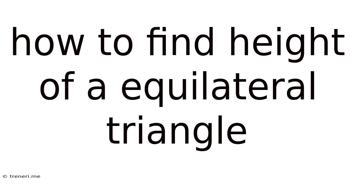 How To Find Height Of A Equilateral Triangle