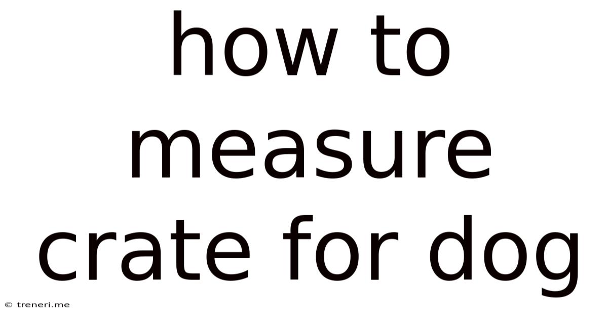 How To Measure Crate For Dog