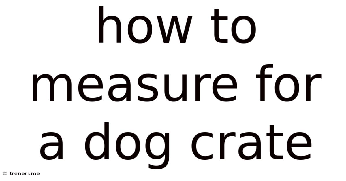 How To Measure For A Dog Crate