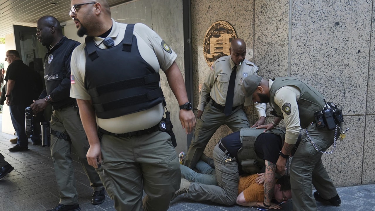 ICE Raids LA: Democrats Protest Trump's Actions