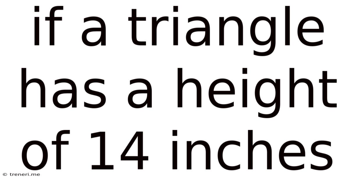 If A Triangle Has A Height Of 14 Inches