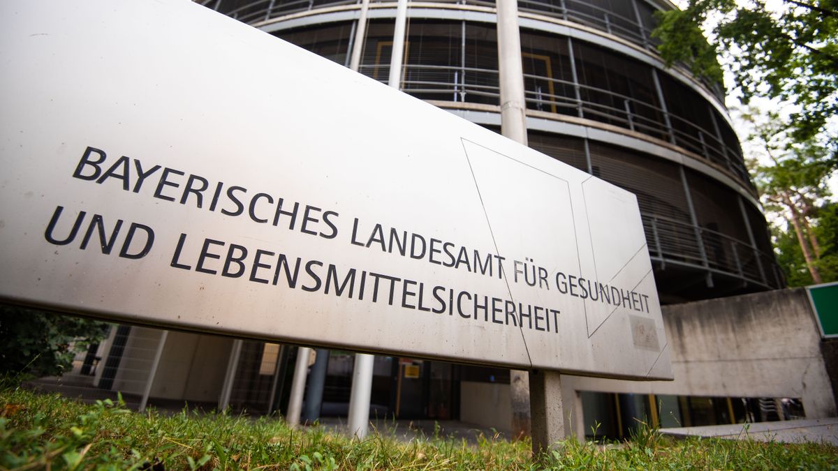 Mann Stirbt An Seltener Bornavirus-Infektion