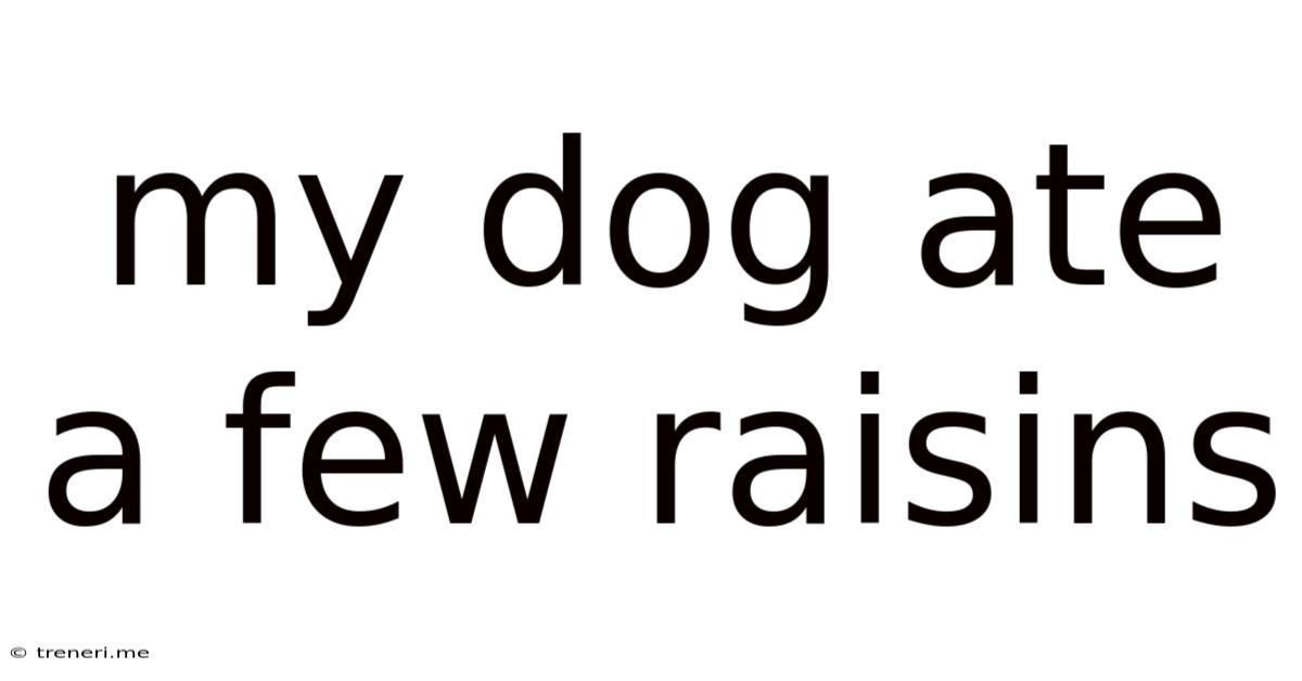 My Dog Ate A Few Raisins