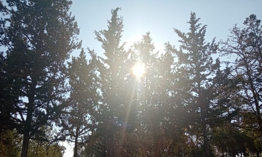 Not Quite Summer: Spring's Last Hurrah