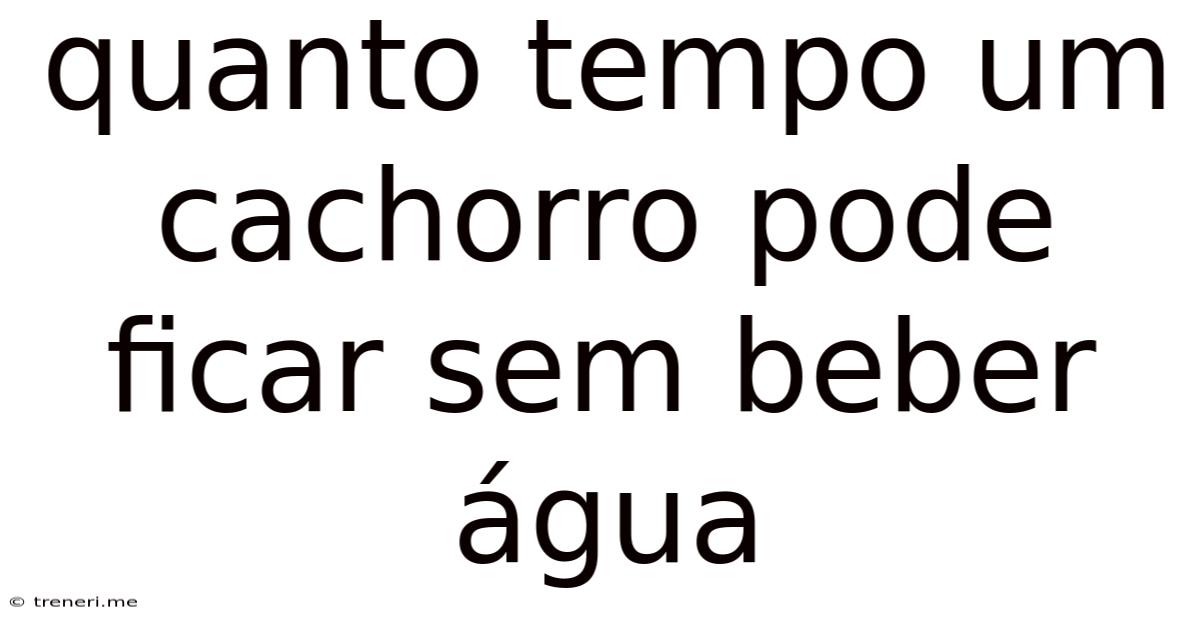 Quanto Tempo Um Cachorro Pode Ficar Sem Beber Água