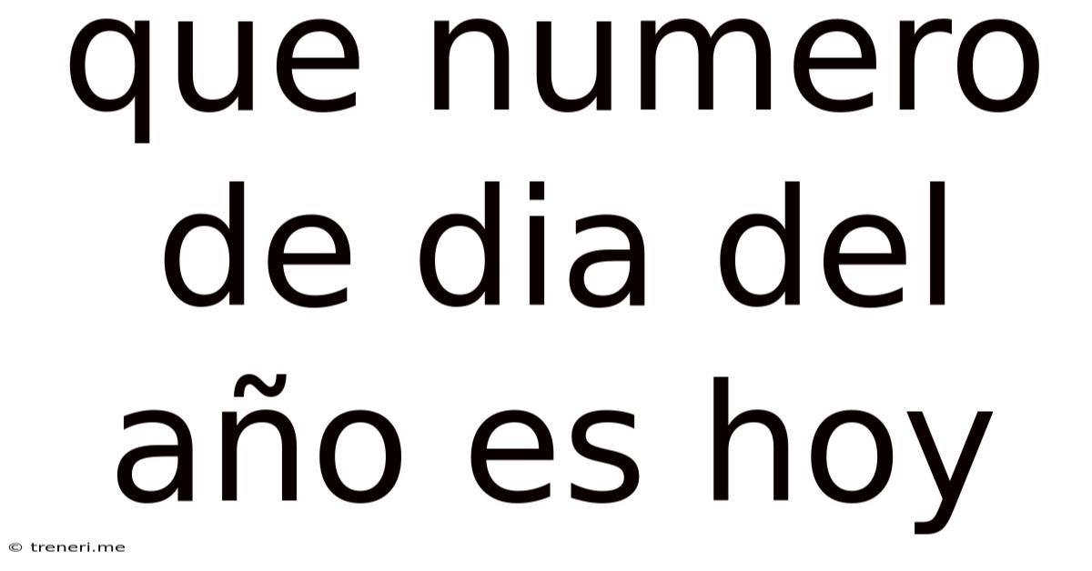 Que Numero De Dia Del Año Es Hoy