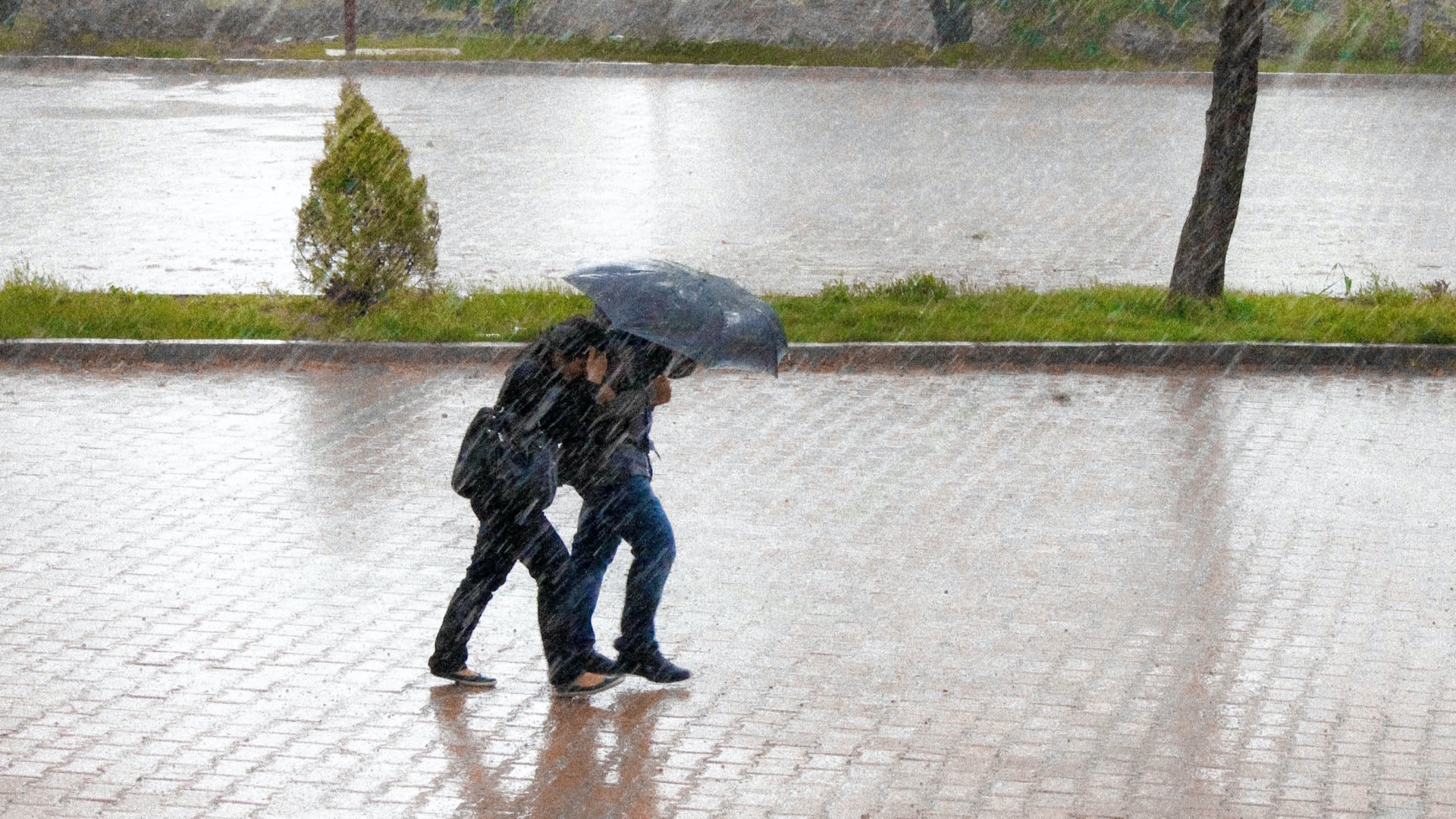 Quebec Region Faces Near-Month Of Rain