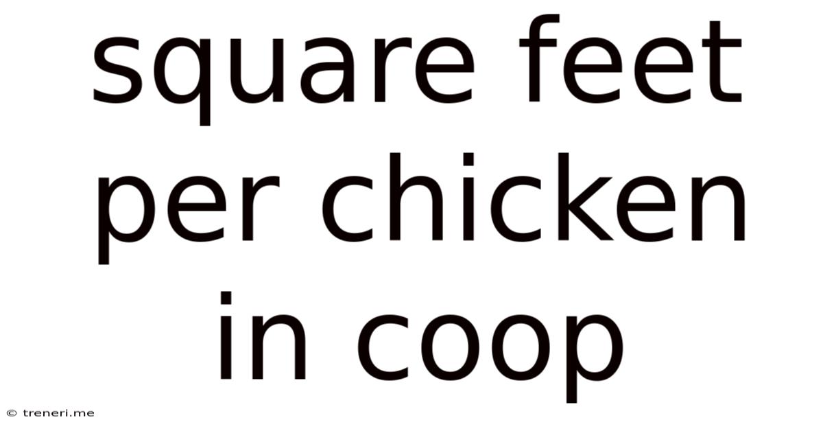 Square Feet Per Chicken In Coop