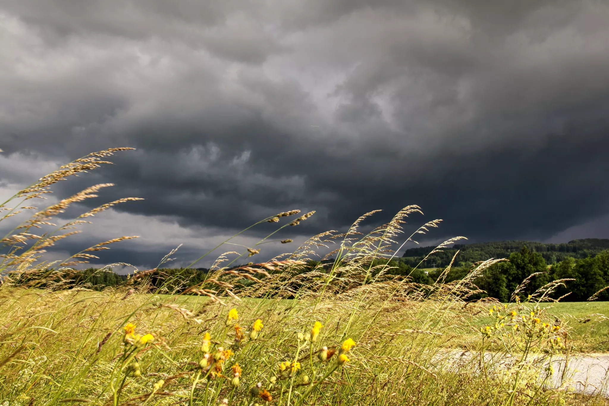 Unwetterwarnung: Regen Und Sturm Über Ostösterreich
