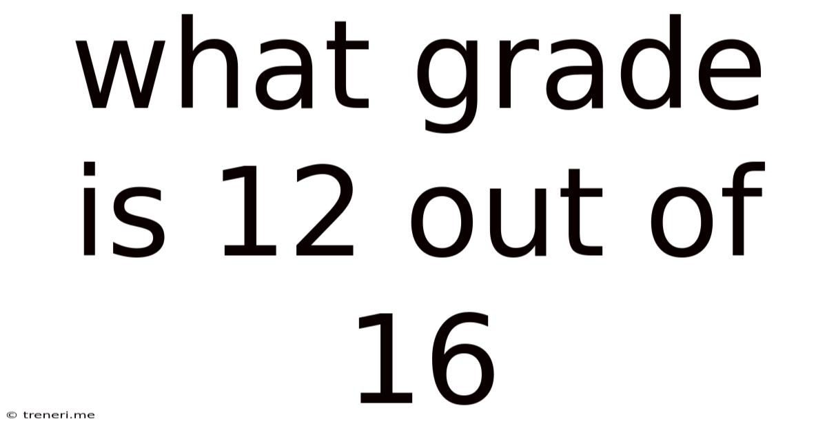 What Grade Is 12 Out Of 16