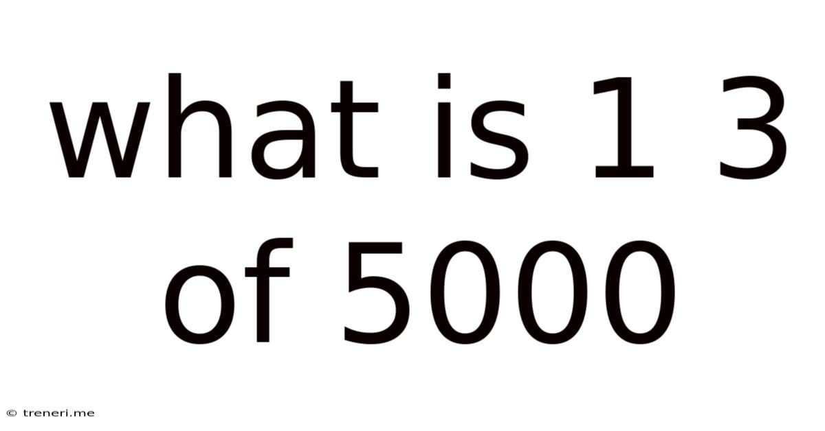What Is 1 3 Of 5000