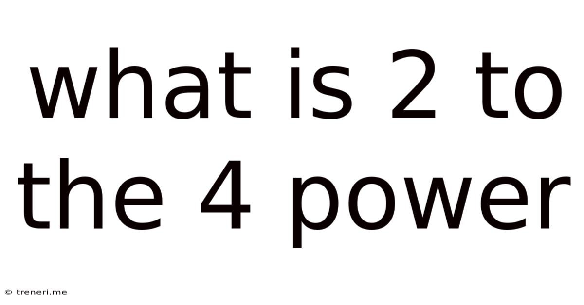 What Is 2 To The 4 Power