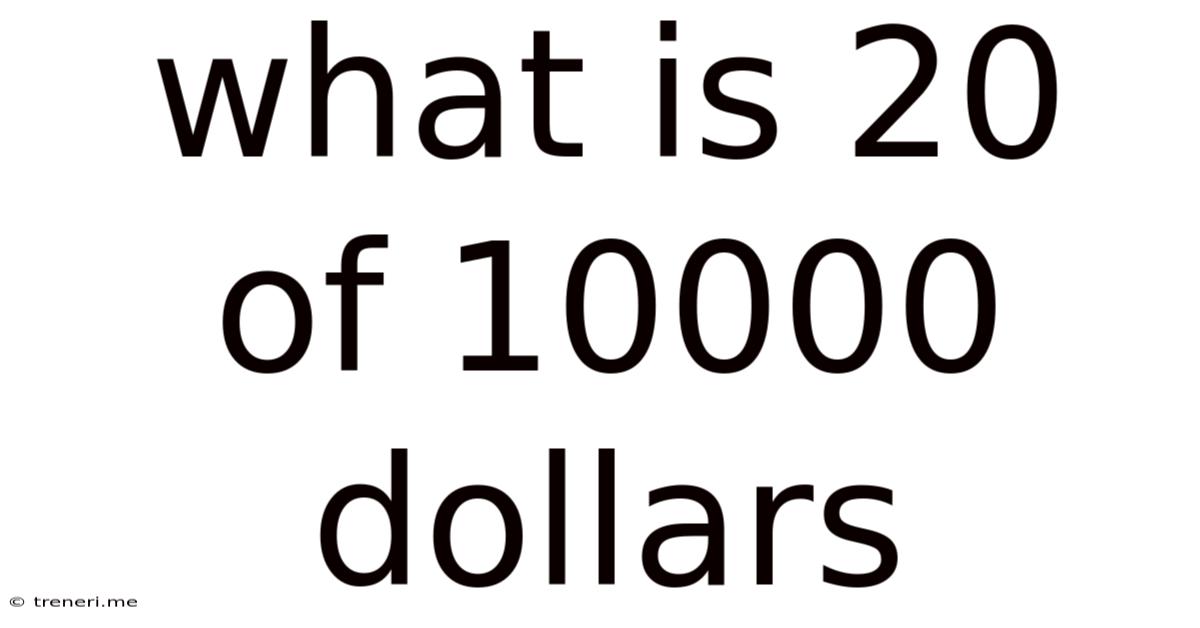What Is 20 Of 10000 Dollars