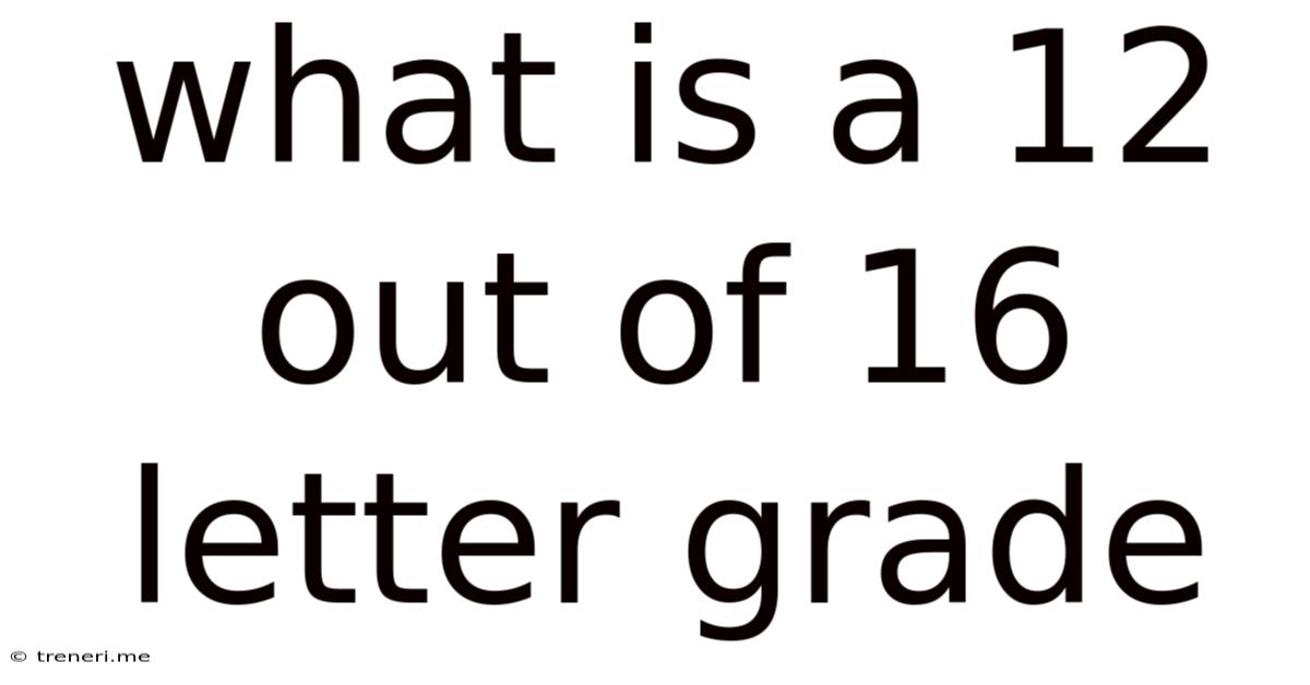 What Is A 12 Out Of 16 Letter Grade