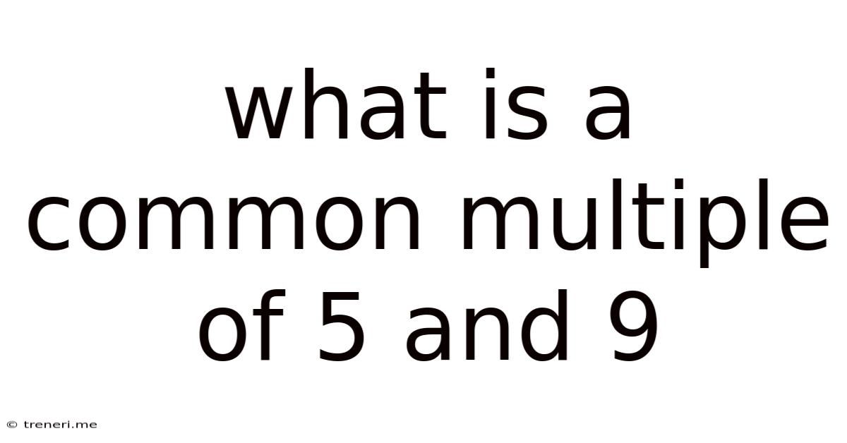 What Is A Common Multiple Of 5 And 9