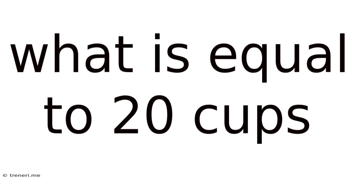 What Is Equal To 20 Cups