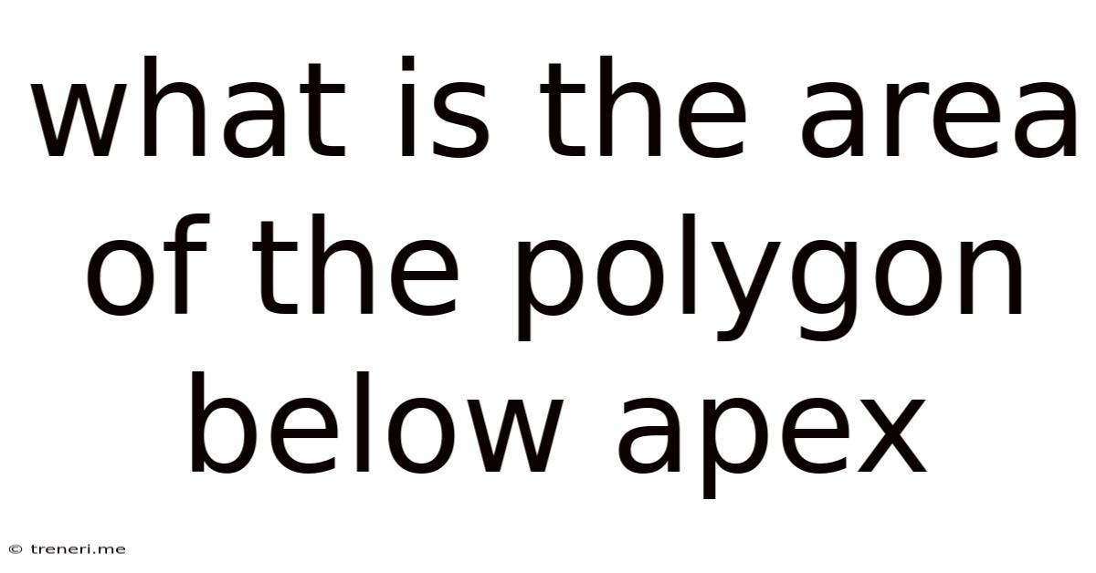 What Is The Area Of The Polygon Below Apex