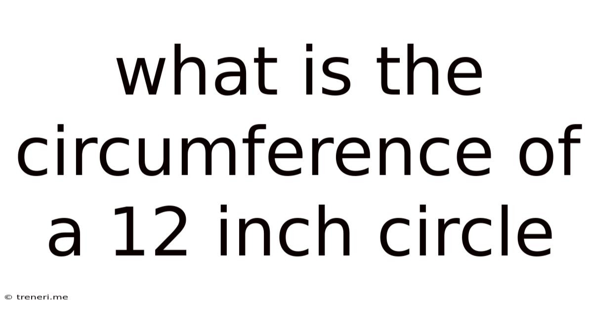What Is The Circumference Of A 12 Inch Circle