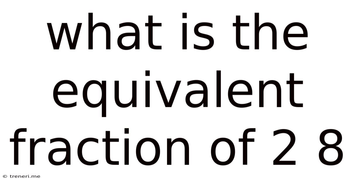 What Is The Equivalent Fraction Of 2 8