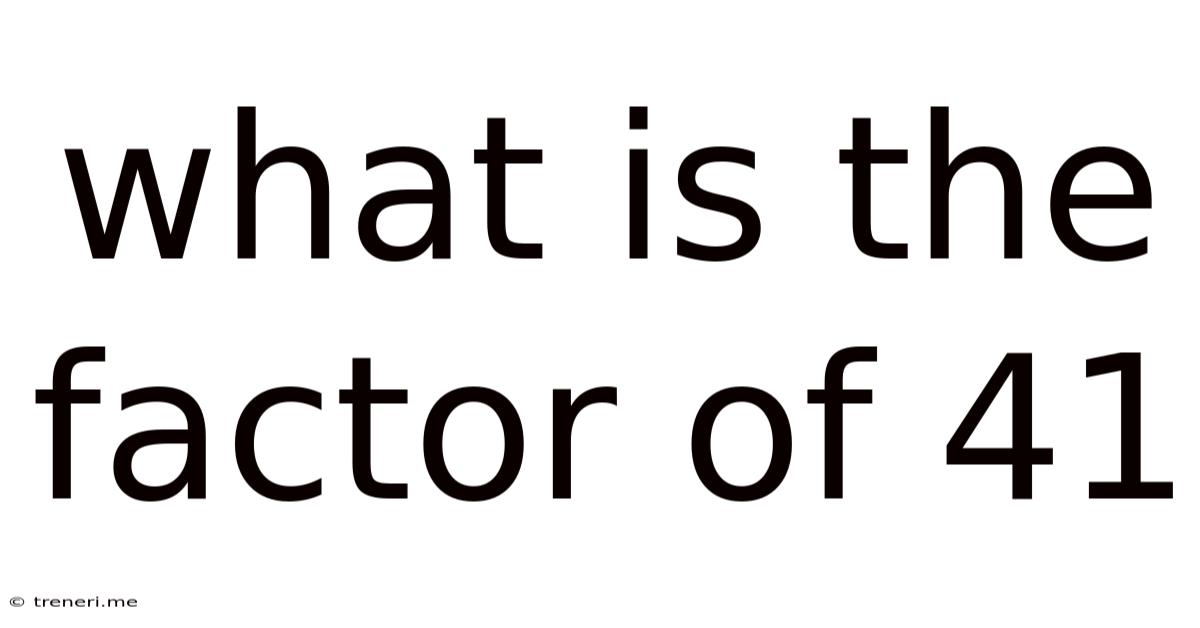 What Is The Factor Of 41