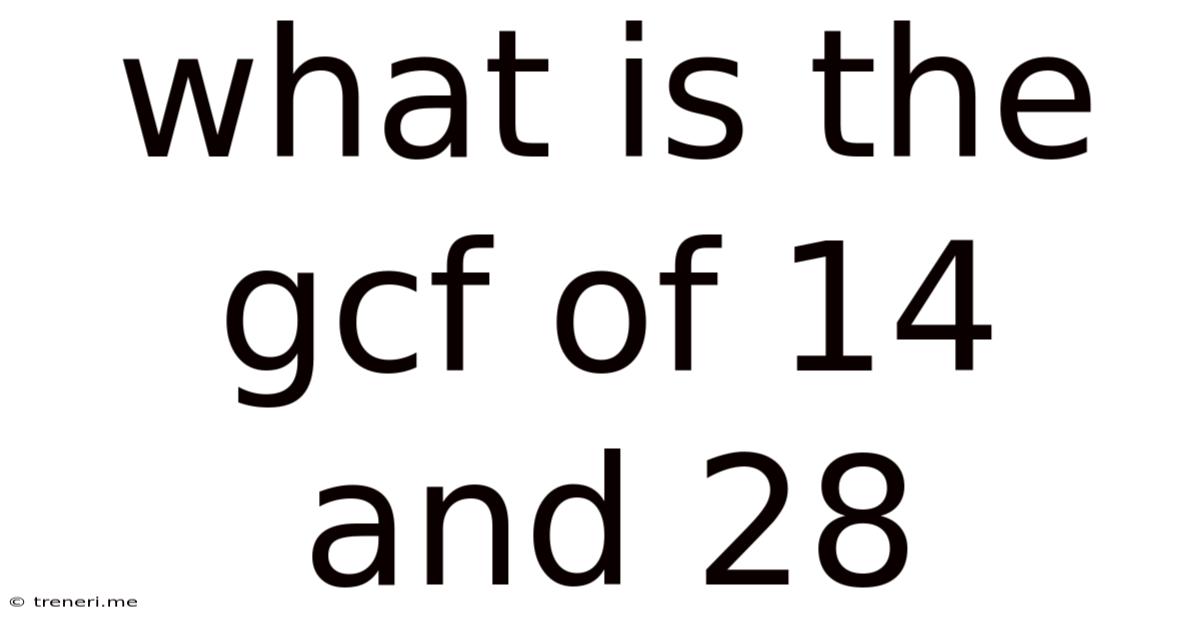 What Is The Gcf Of 14 And 28