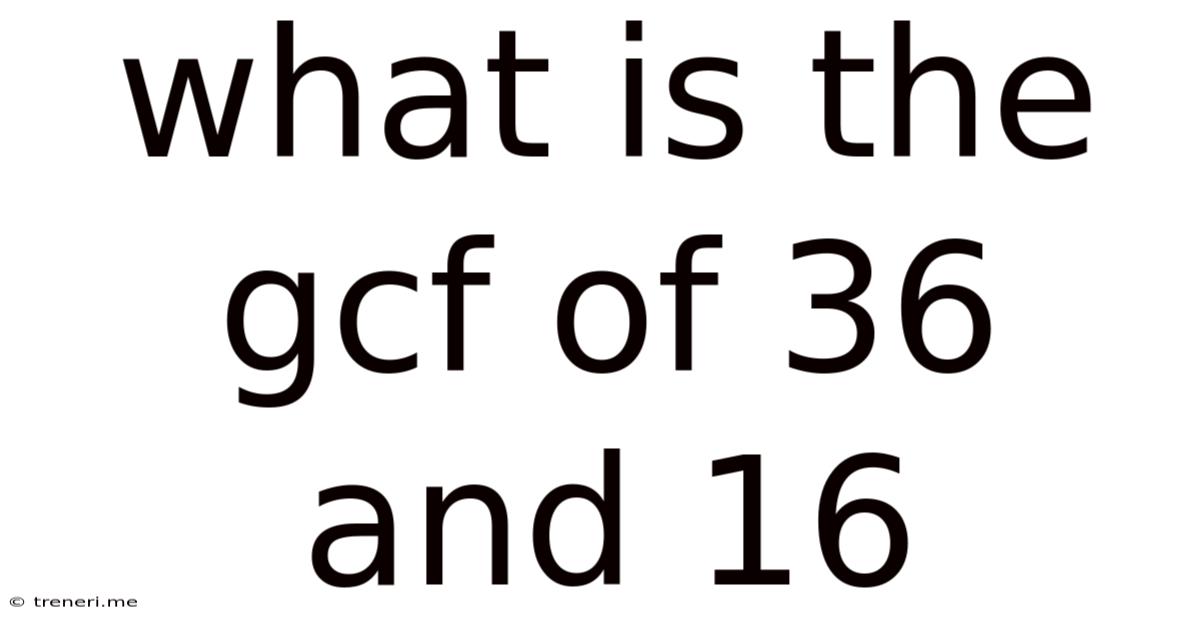 What Is The Gcf Of 36 And 16