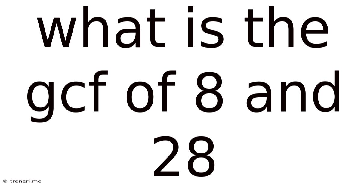 What Is The Gcf Of 8 And 28