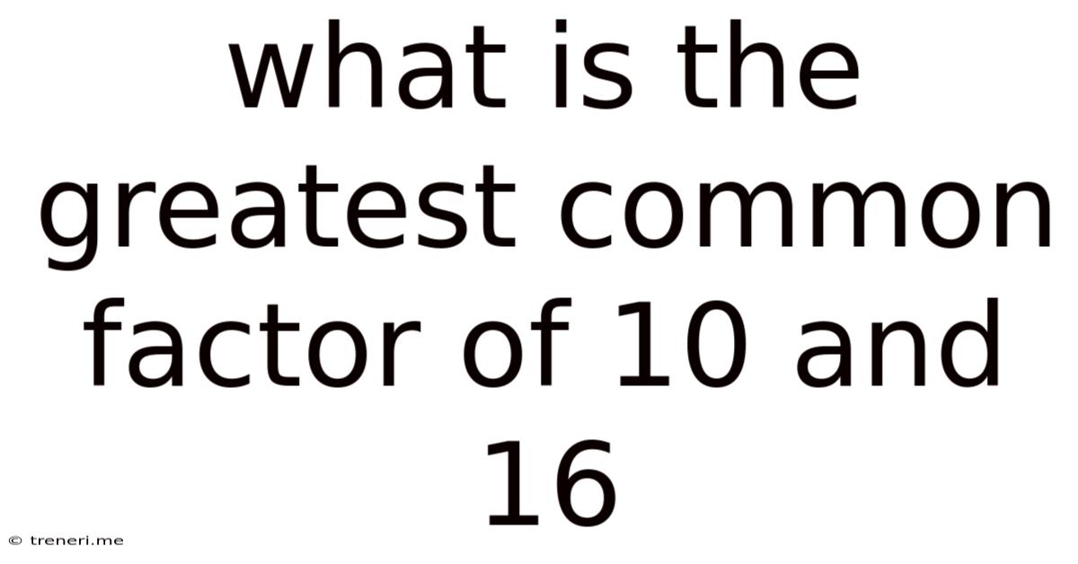 What Is The Greatest Common Factor Of 10 And 16