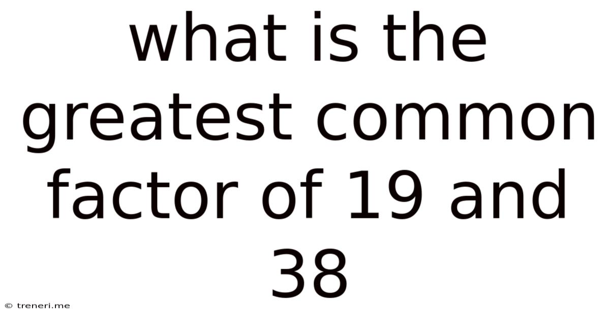 What Is The Greatest Common Factor Of 19 And 38